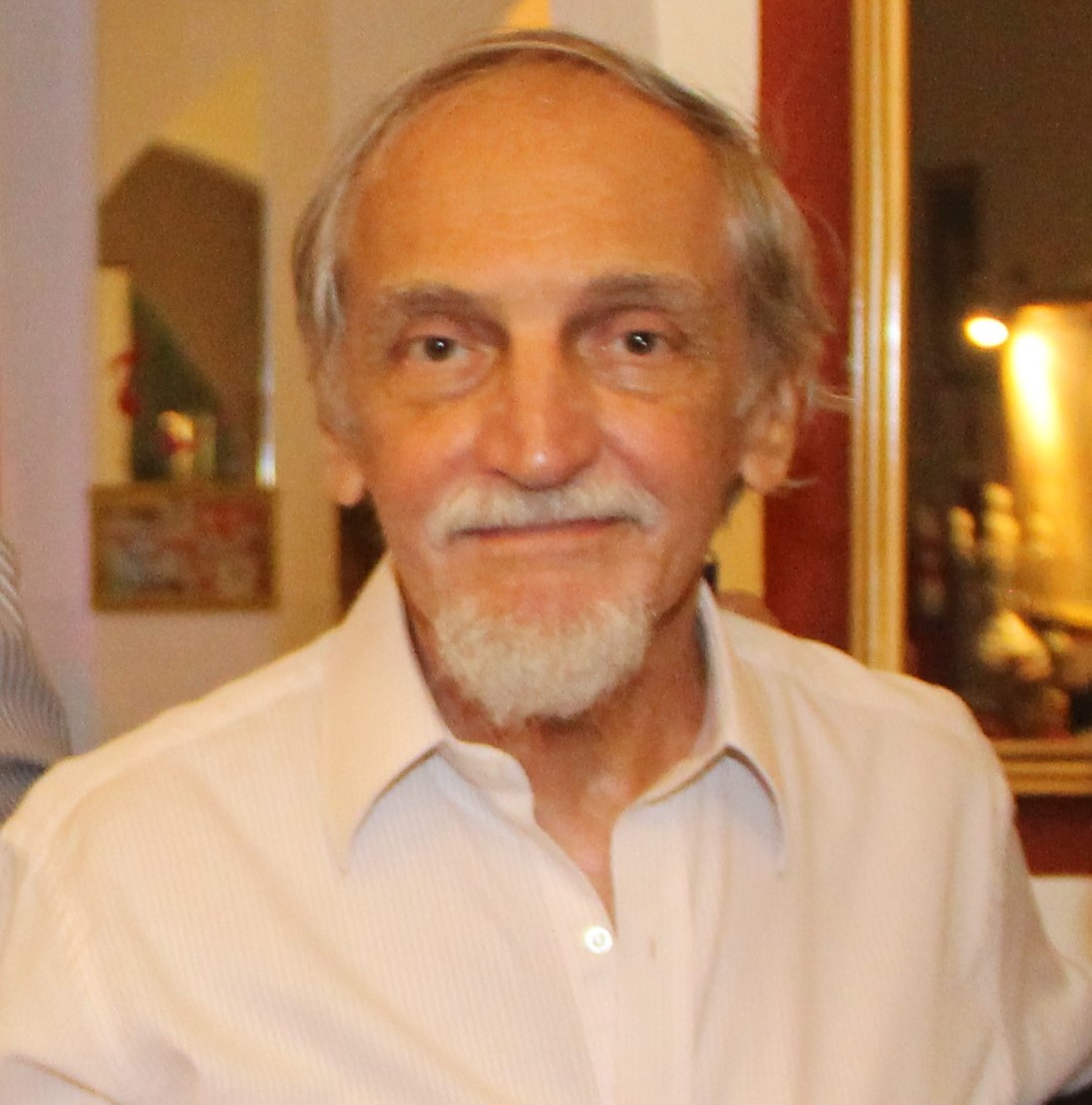 José Osmir Fiorelli