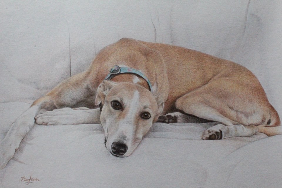 Nova - By Joanne Bingham