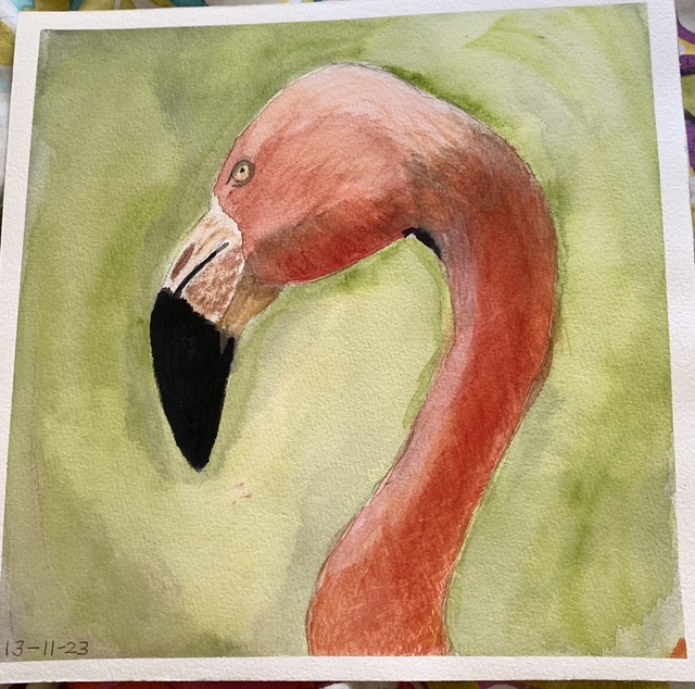 Flamingo