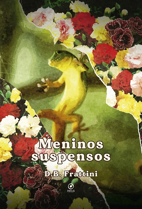 Capa do livro 'Meninos suspensos', de D.B. Frattini