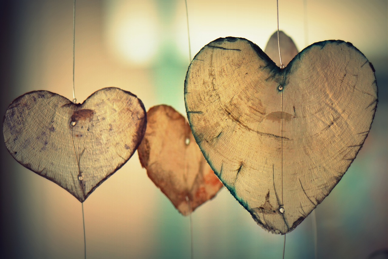 https://pixabay.com/pt/photos/cora%C3%A7%C3%A3o-amor-romance-namorados-700141/
