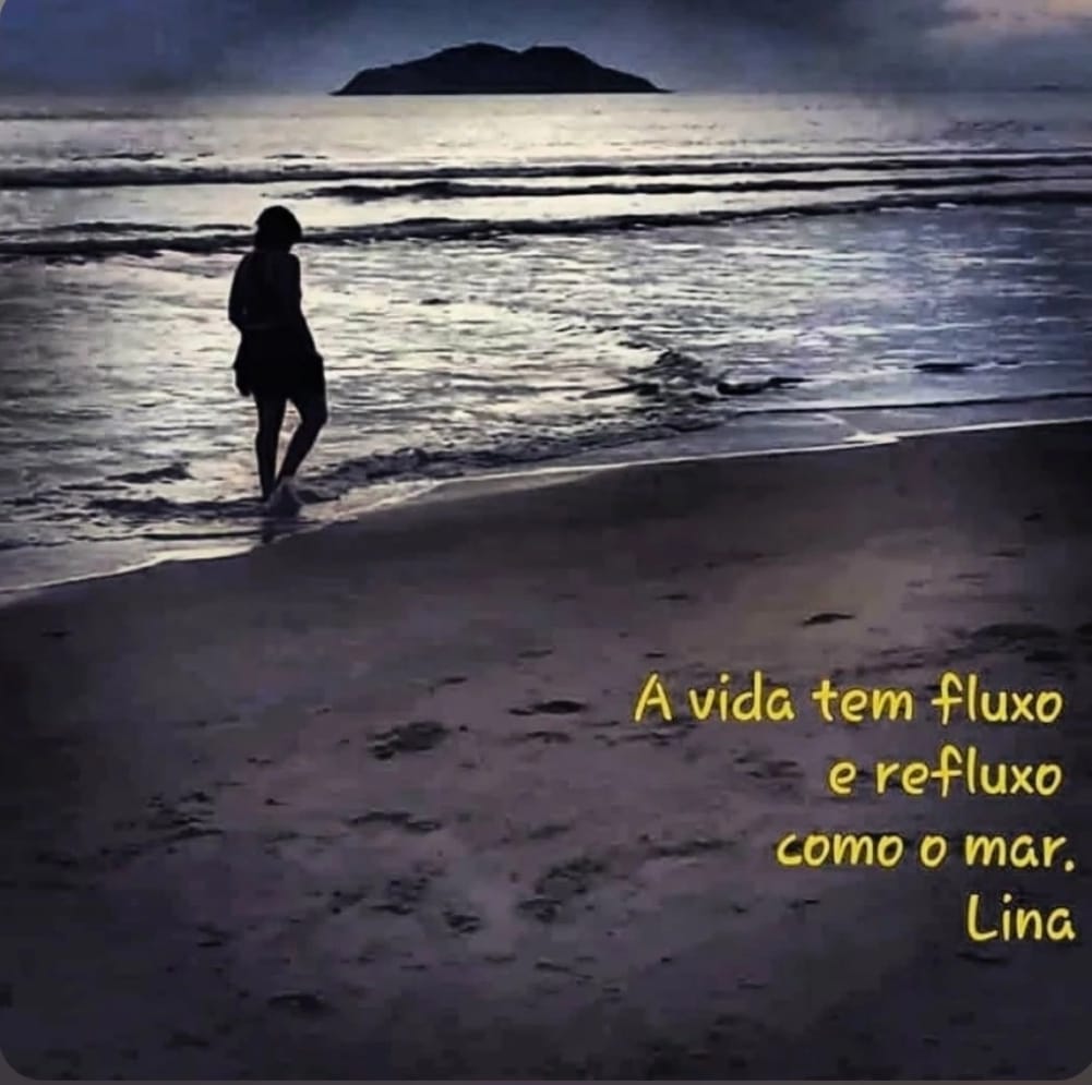 Foto tirada pela autora com a própria câmara