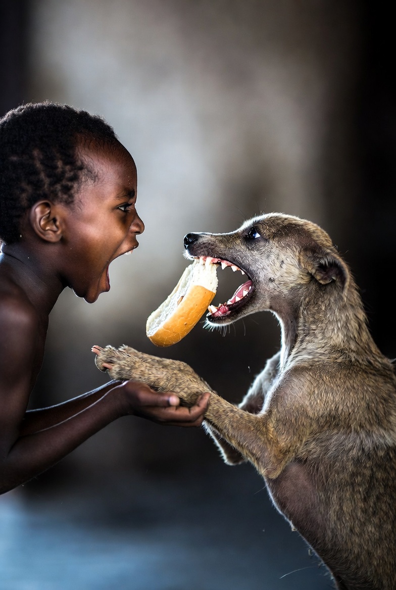 Imagem criada por IA do Grok - 23 de janeiro de 2026, `s 15:30 PM - https://grok.com/imagine/post/6bffaf89-3683-4313-bf72-770c9fa4d2c0
