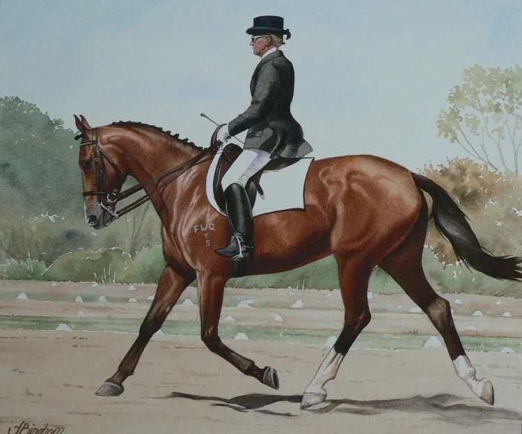 Dressage Rider - By Joanne Bingham