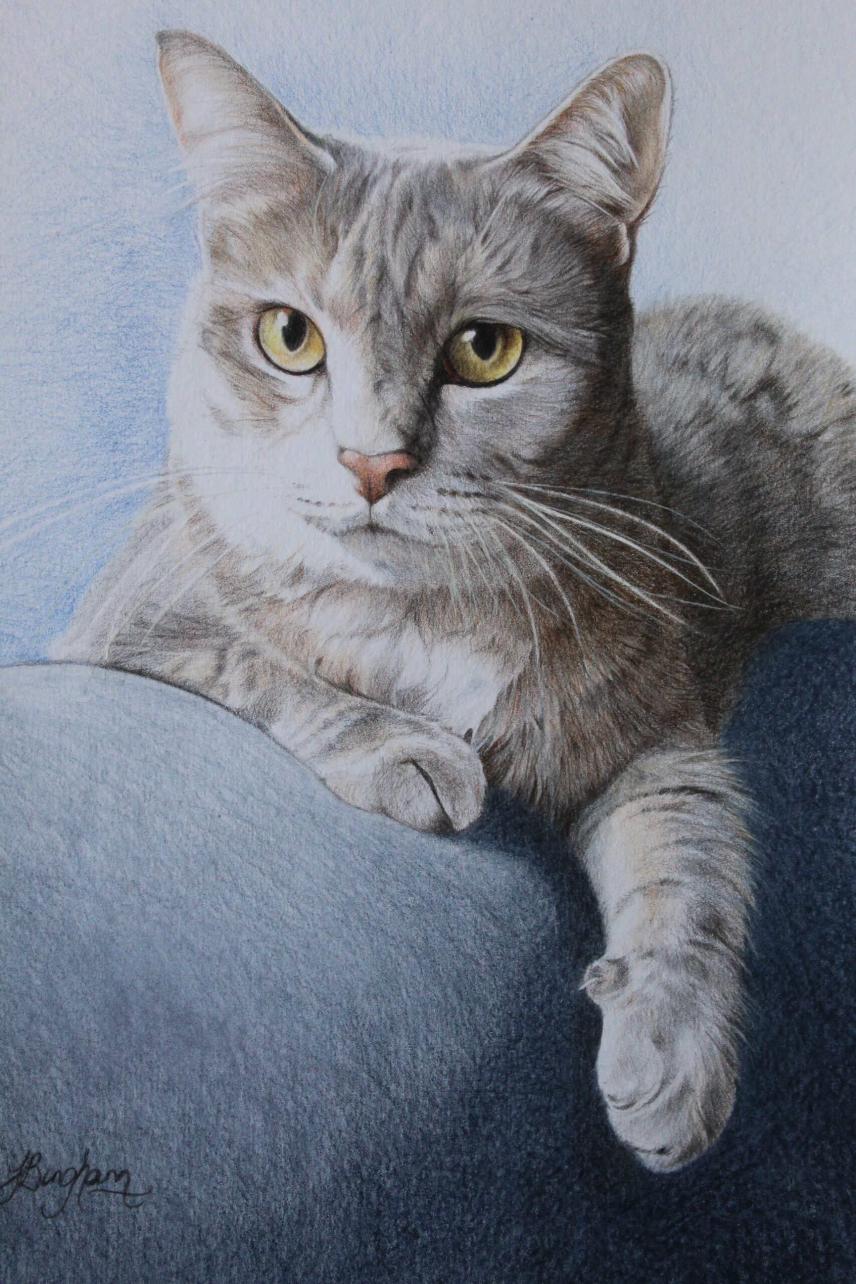 Lucy - By Joanne Bingham