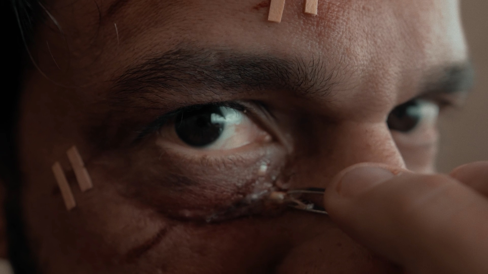 Curta-metragem Erva Daninha - Direção de Fábio Salvado