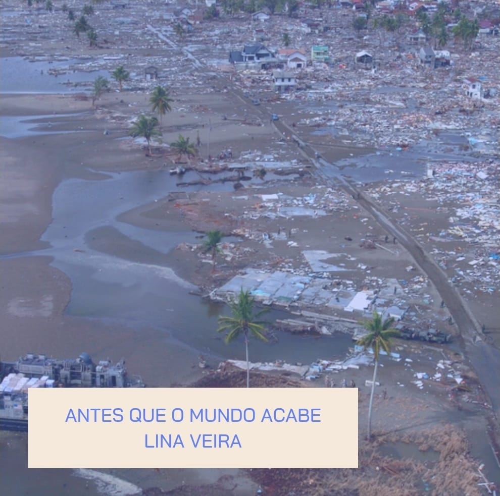 A imagem aérea exibe um cenário de desastre e desolação. Uma vasta área costeira está reduzida a escombros, lama e estruturas fragmentadas, sugerindo o rastro de um tsunami. No meio da cena, algumas poucas árvores de coqueiro permanecem em pé. No canto inferior esquerdo da composição, há um retângulo sobreposto em tom creme suave, onde está escrito em texto azul claro, centralizado em duas linhas: "ANTES QUE O MUNDO ACABE" e, abaixo, "LINA VEIRA".